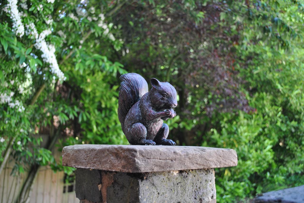 Squirrel Barn Villa Milwich Bagian luar foto